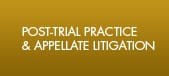 Post-Trial Practice & Appellate Litigation
